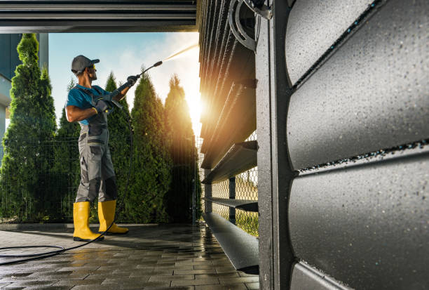 Best Sidewalk and Walkway Cleaning  in Dansville, NY